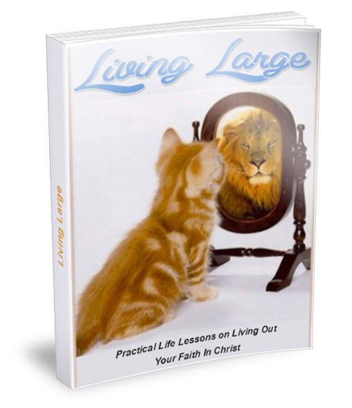 Living Large Practical Life Lessons